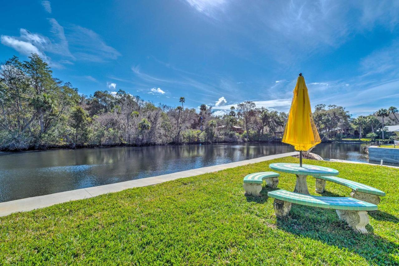 Withlacoochee River House With Dock And Kayaks! Yankeetown Exteriör bild